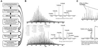 High Resolution Mass Spectrometry Defining Resolution in Analytical Terms