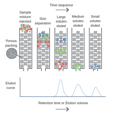 How Size Exclusion Chromatography Enhances Analytical Accuracy