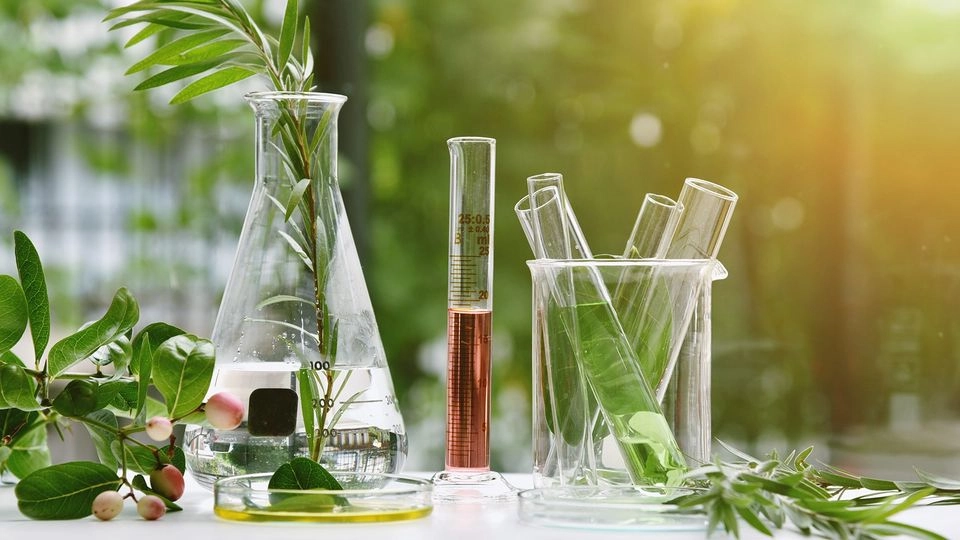 GC vs. GC-MS: Which Gas Chromatography Setup is Right for Your Environmental Testing