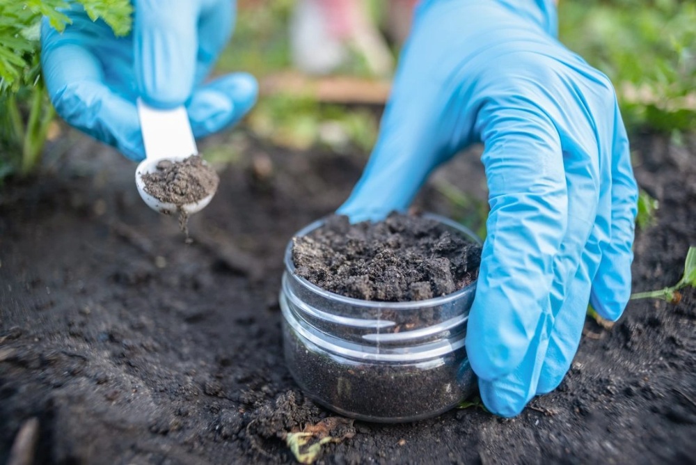 a researcher is taking soil samples