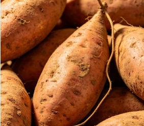 potato