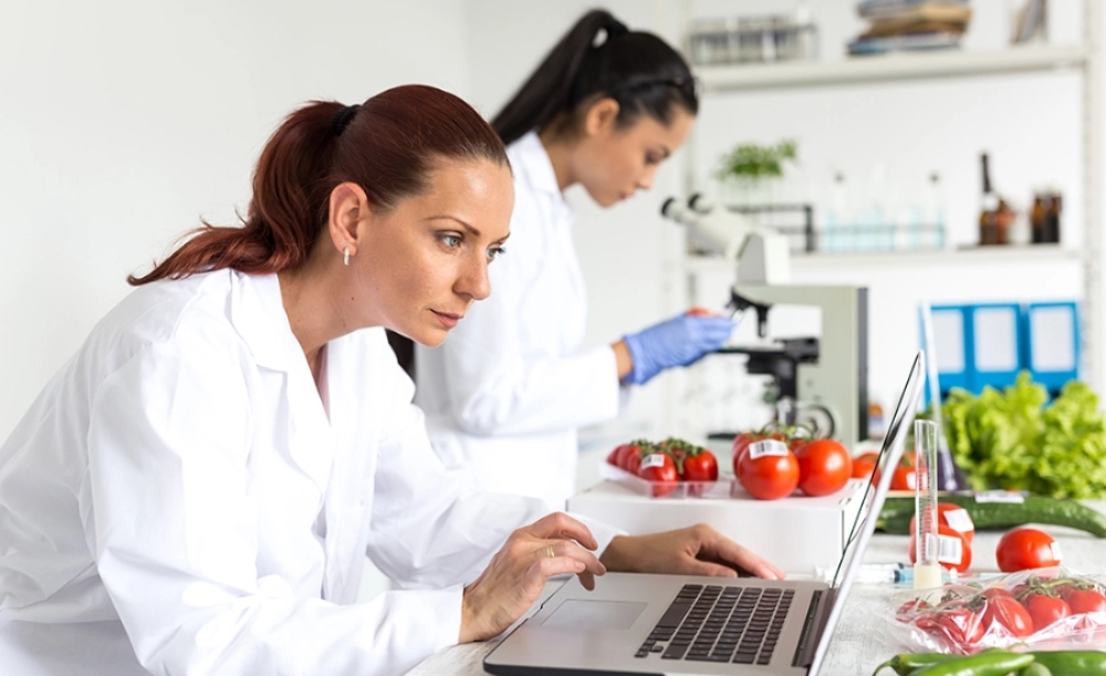 researchers are conducting food testing