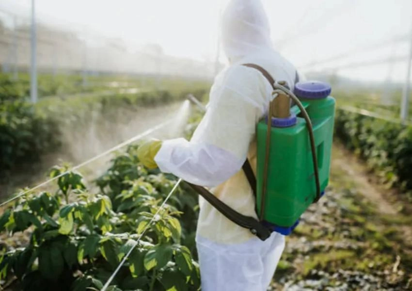pesticides are being sprayed