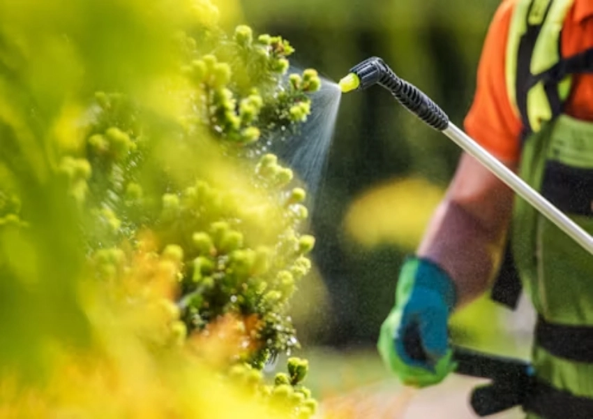 GC-MS in Food Safety Testing From Pesticide Residues to Flavor Compounds