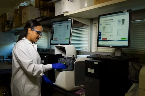 a researcher conducted experiments
