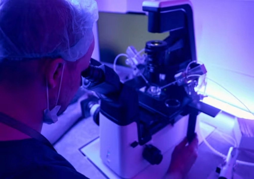 Stray Light in UV-Vis Spectroscopy When High-Absorbance Results Become Unreliable