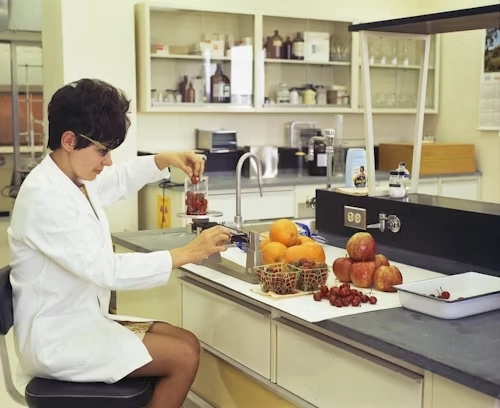 a scientist is conducting an experiment